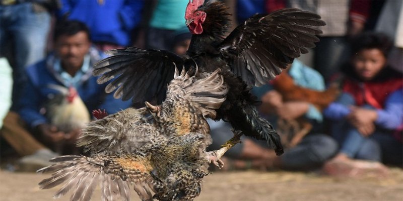 Học thêm chiến thuật hay